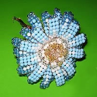 blau-weiße Perlenblume Zinnie